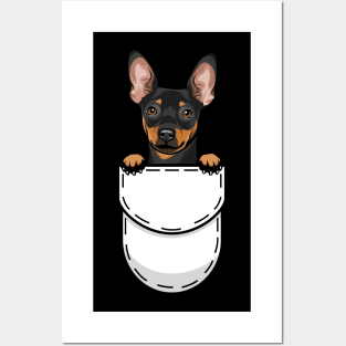 Miniature Pinscher Pocket Dog Posters and Art